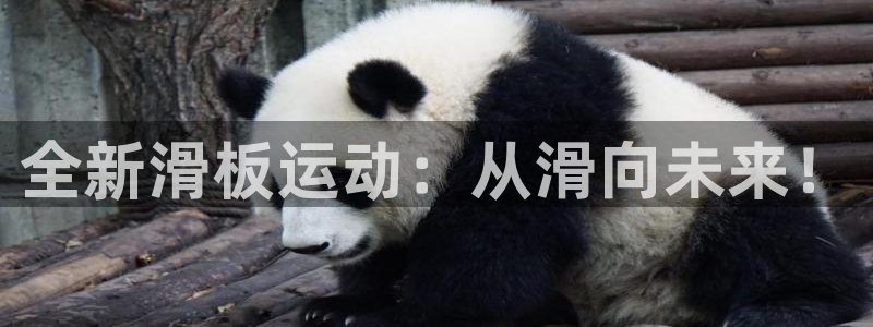 哈哈体育娱乐代理怎么样：全新滑板运动：从滑向未来！