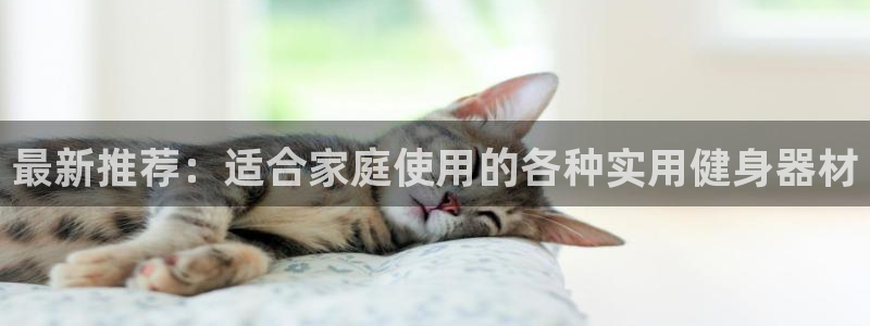 哈哈体育集团E.ON：最新推荐：适合家庭使用的各种实用健身器