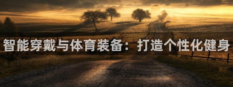 海南哈哈体育：智能穿戴与体育装备：打造个性化健身