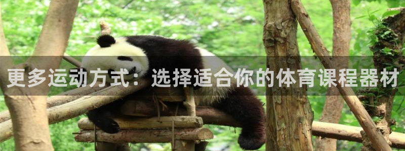 哈哈体育集团简介：更多运动方式：选择适合你的体育课程器材