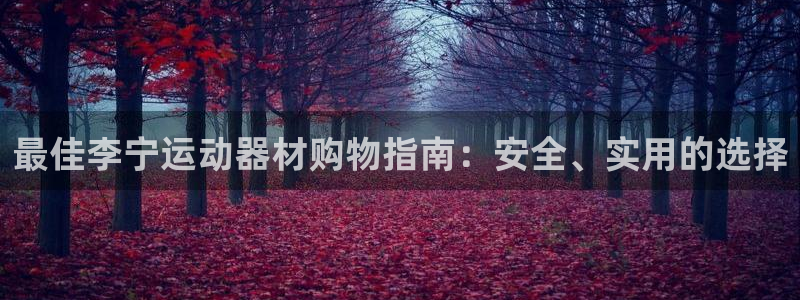 哈哈体育新能源：最佳李宁运动器材购物指南：安全、实用的选择