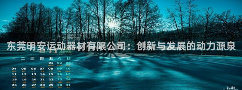 哈哈体育代理：东莞明安运动器材有限公司：创新与发展的