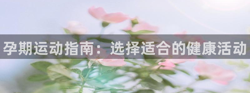 哈哈体育新能源